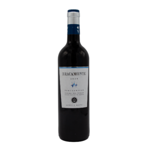 Yllera Bracamonte Roble